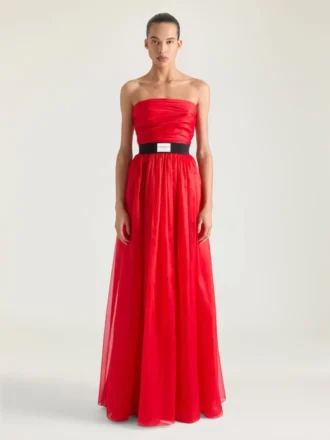 Bustier Evening Dress in Organza