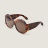Cocoon Sunglasses in Acetate